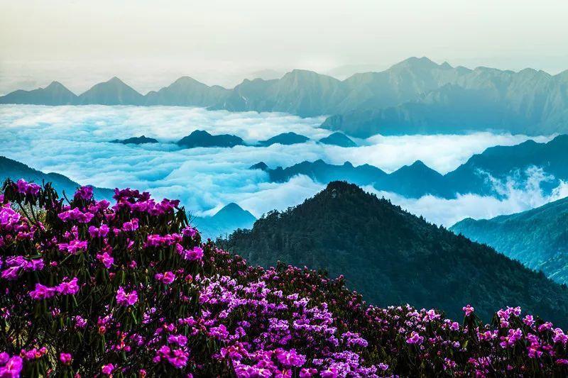 南方脑血栓病人比北方少，这是为什么？